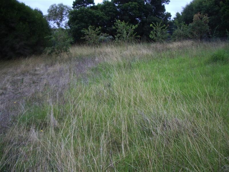 23 Fairbairn Avenue, Mount Martha VIC 3934