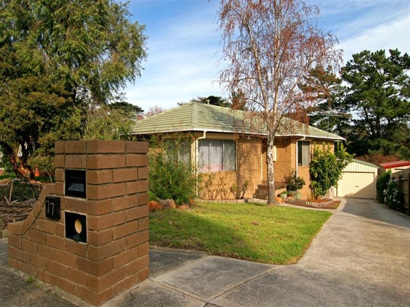 77 Richardson Drive, Mornington VIC 3931