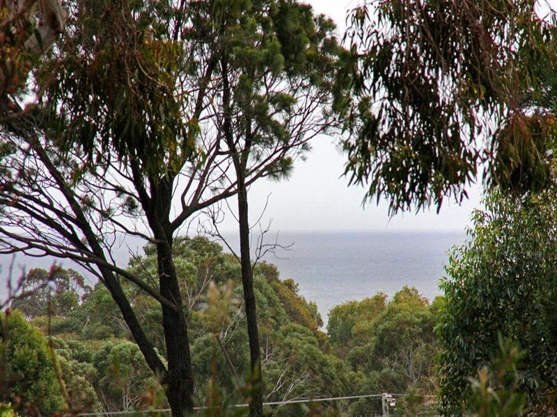 1/2 Oakland Street, Mornington VIC 3931