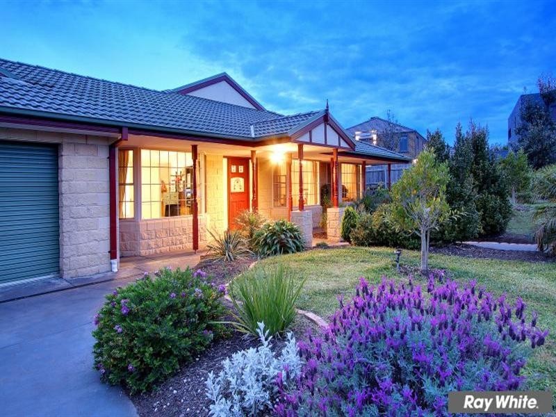 16 Ben Drive, Mornington VIC 3931