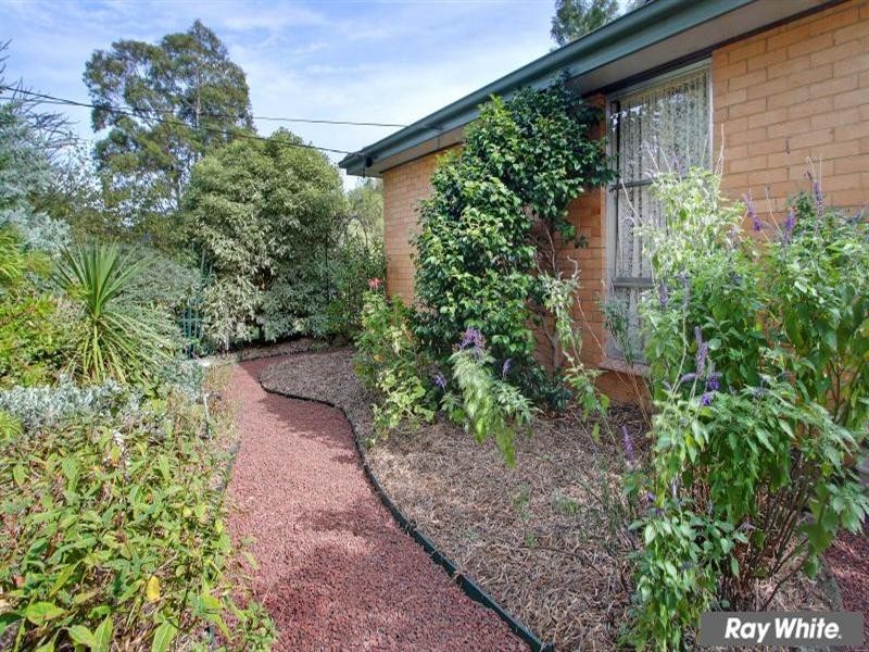 16 Orlanda Court, Mornington VIC 3931