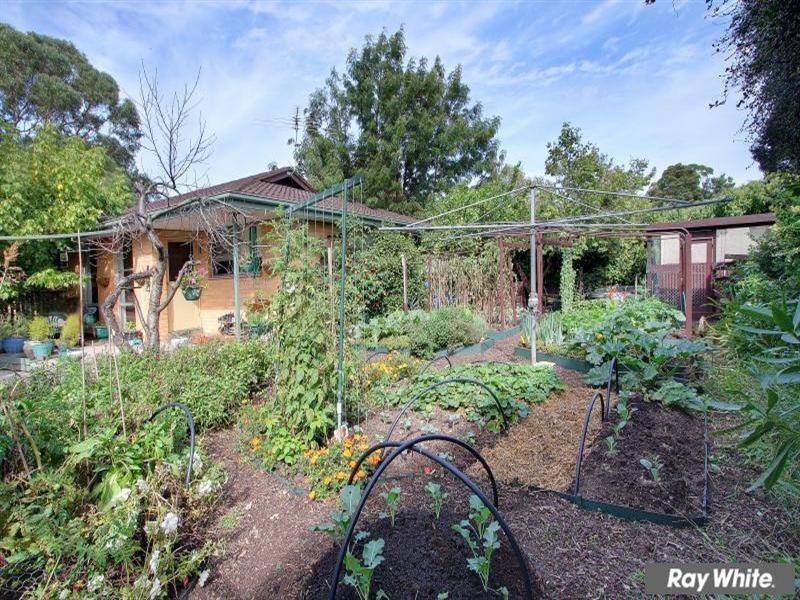 16 Orlanda Court, Mornington VIC 3931