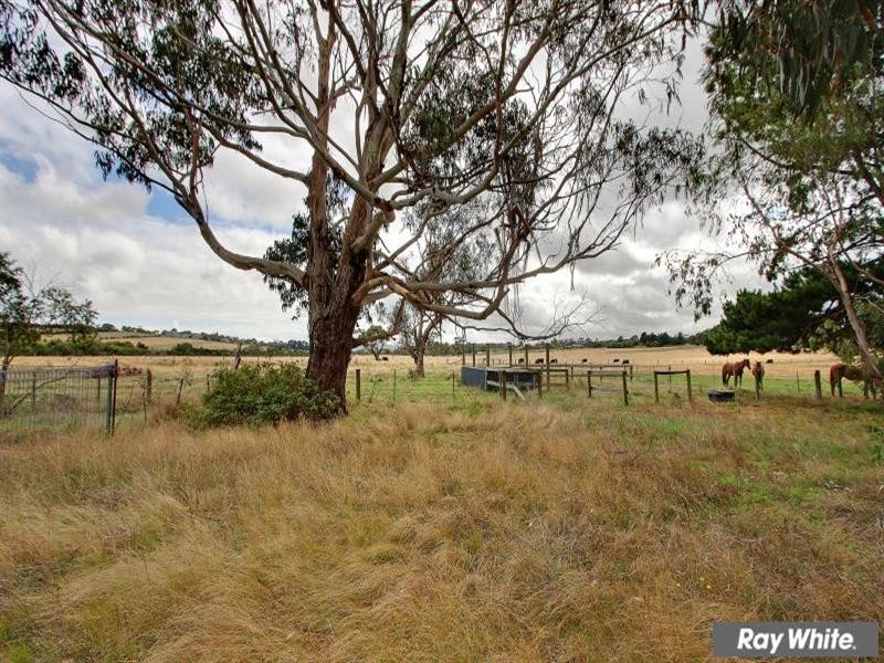 295 Bentons Road, Mornington VIC 3931