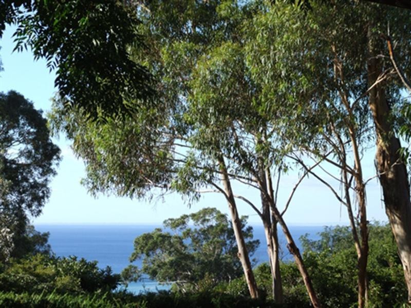 4 Albert Court, Dromana VIC 3936