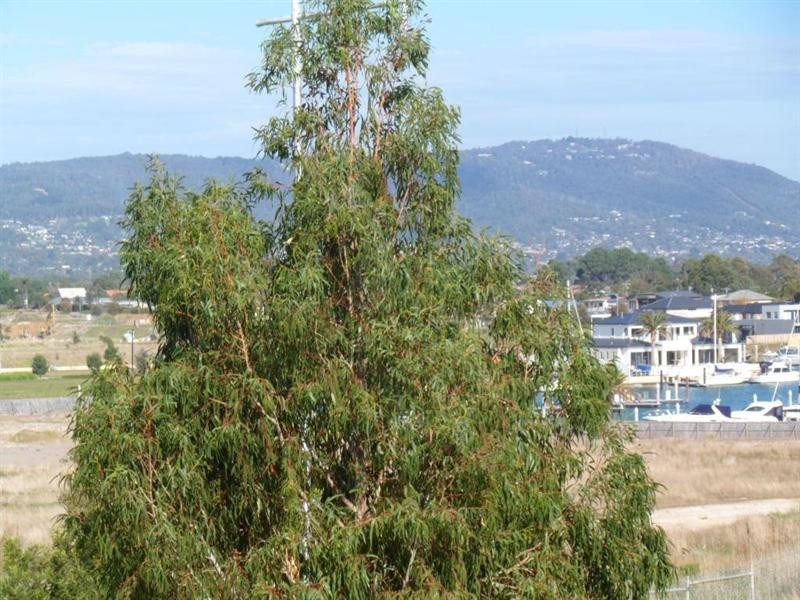 2 The Cove, Safety Beach VIC 3936