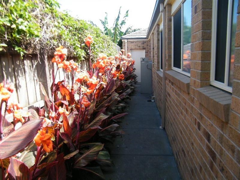 24 Bowman Drive, Mornington VIC 3931