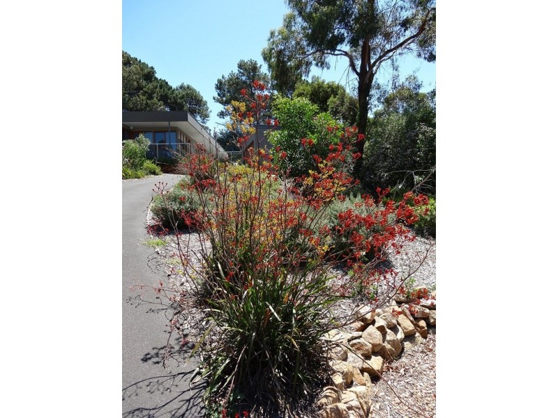 62 Kilburn Grv, Mount Martha VIC 3934