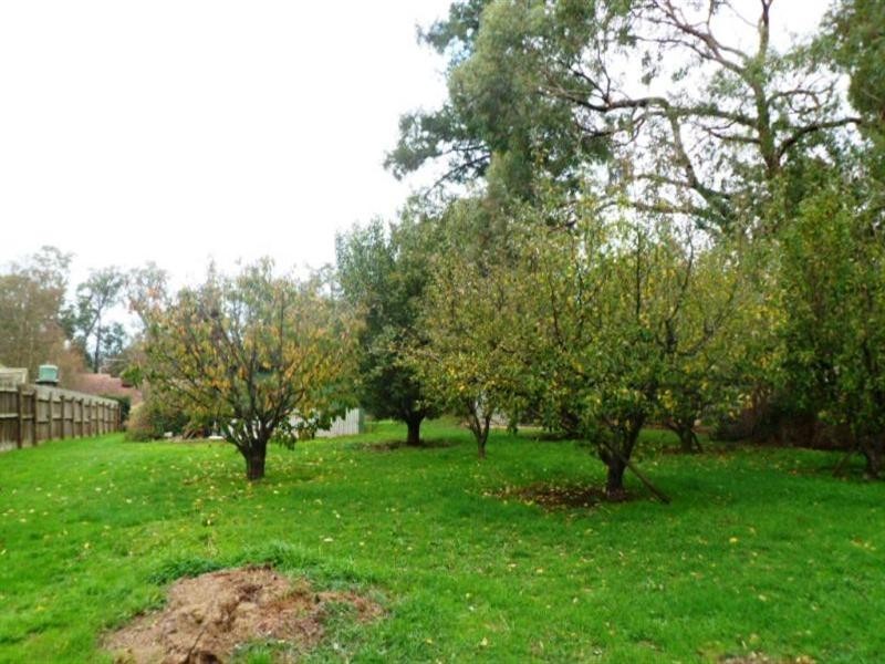 1 Marma Avenue, Red Hill VIC 3937