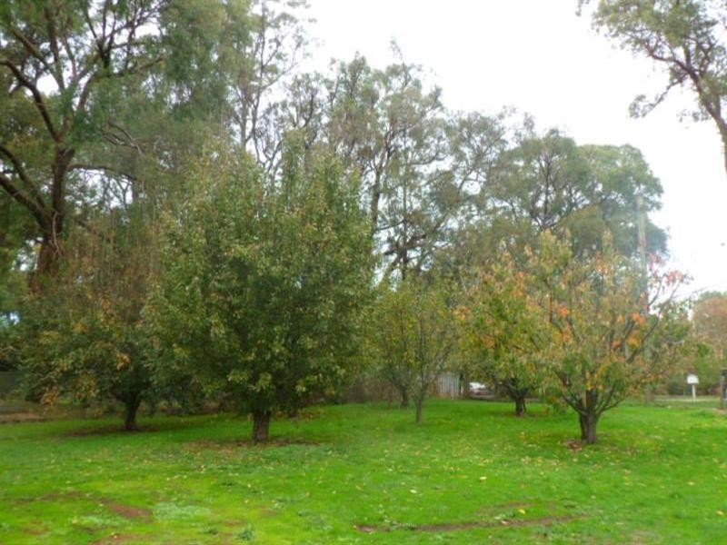 1 Marma Avenue, Red Hill VIC 3937