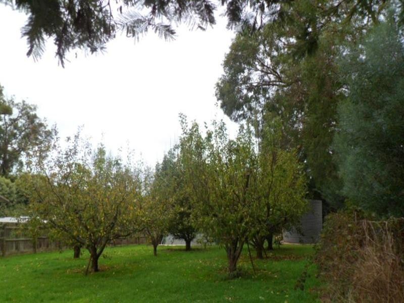 1 Marma Avenue, Red Hill VIC 3937