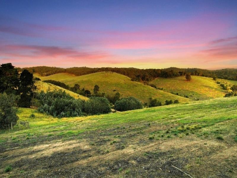 300 Hurstbridge-Arthurs Creek Road, Hurstbridge VIC 3099