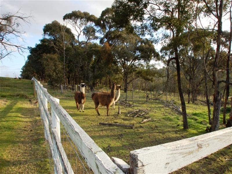 Hidden Valley VIC 3756