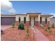 17 Nighthawk Boulevard, South Morang VIC 3752