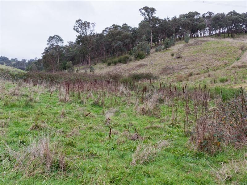 73 Everleigh Drive, Diamond Creek VIC 3089