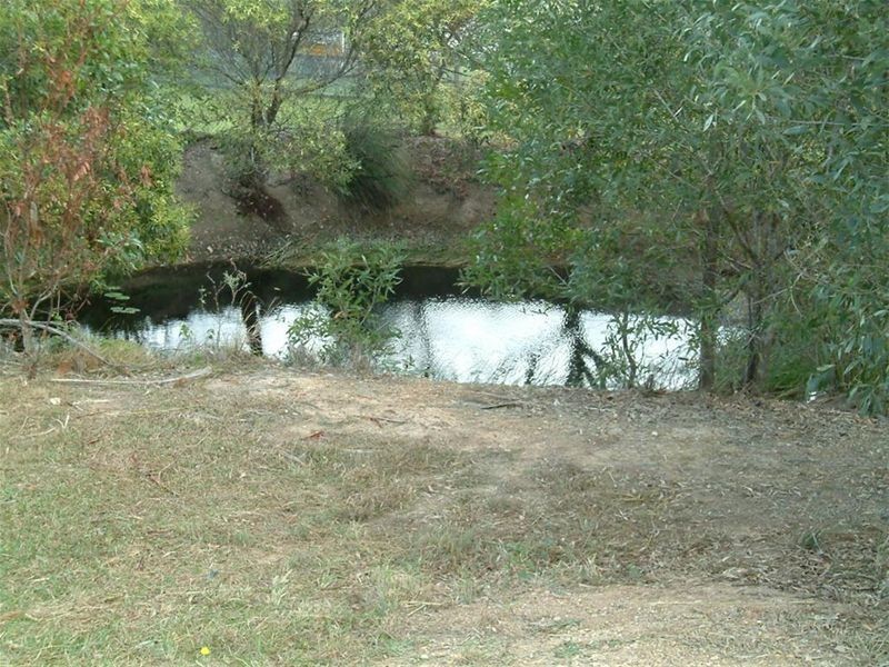 6 Petersen Road, Craignish QLD 4655