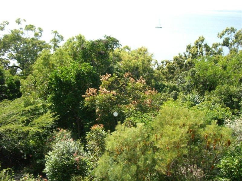 19 Ariadne Street, River Heads QLD 4655