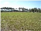 19 & 21 Sandcastles Circuit, Burrum Heads QLD 4659