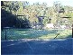 17 Pandanus, Fraser Island QLD 4581