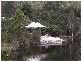 17 Pandanus, Fraser Island QLD 4581