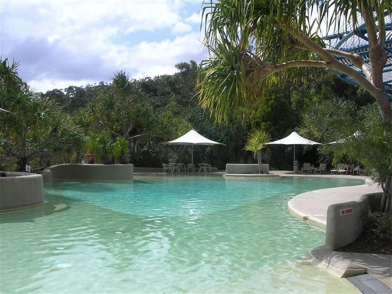 17 Pandanus, Fraser Island QLD 4581