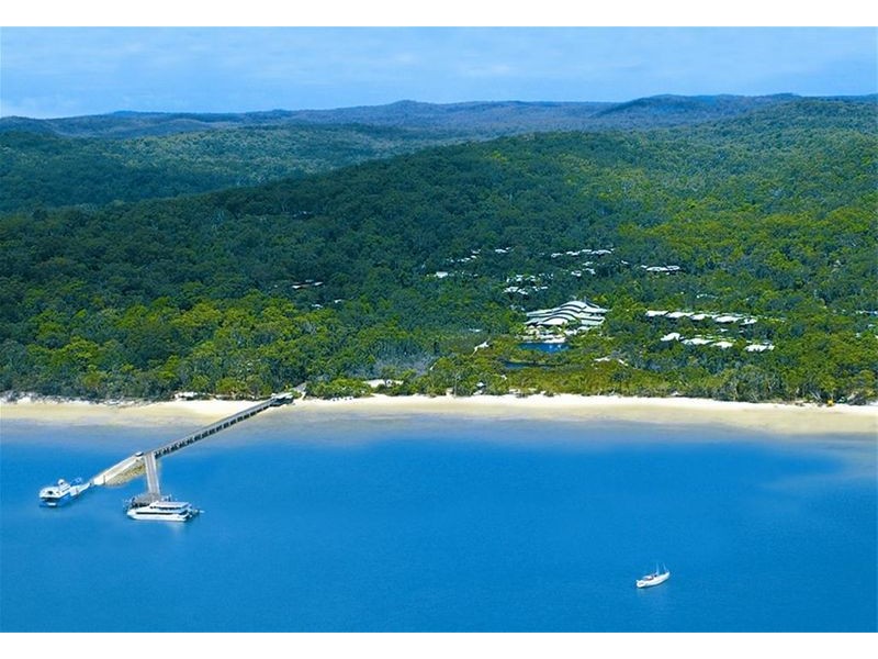 17 Pandanus, Fraser Island QLD 4581