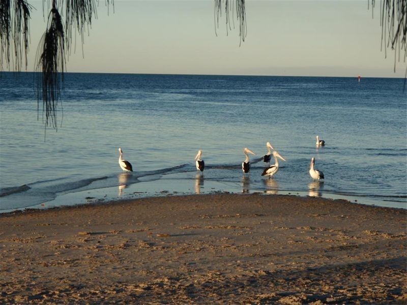 15 Southfork Circuit, Burrum Heads QLD 4659