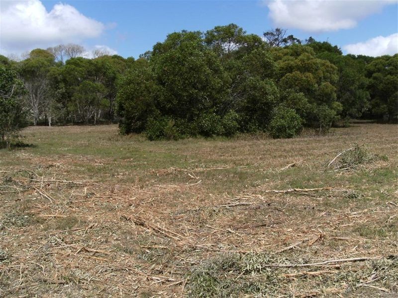 82 Wheeley Road, Booral QLD 4655