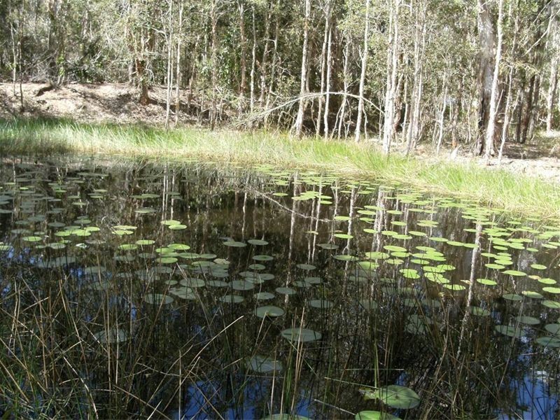 82 Wheeley Road, Booral QLD 4655