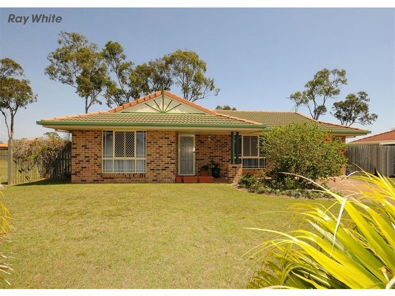 24 Bowerbird Avenue, Eli Waters QLD 4655