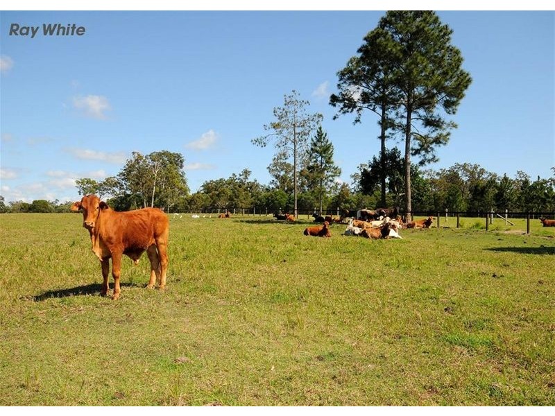 321 Beelbi Creek Road, Toogoom QLD 4655