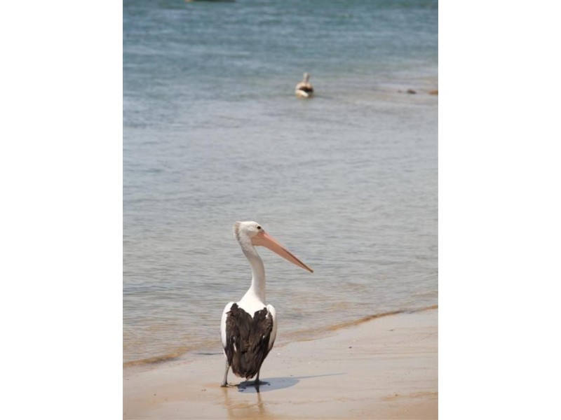 27 Louise Drive, Burrum Heads QLD 4659