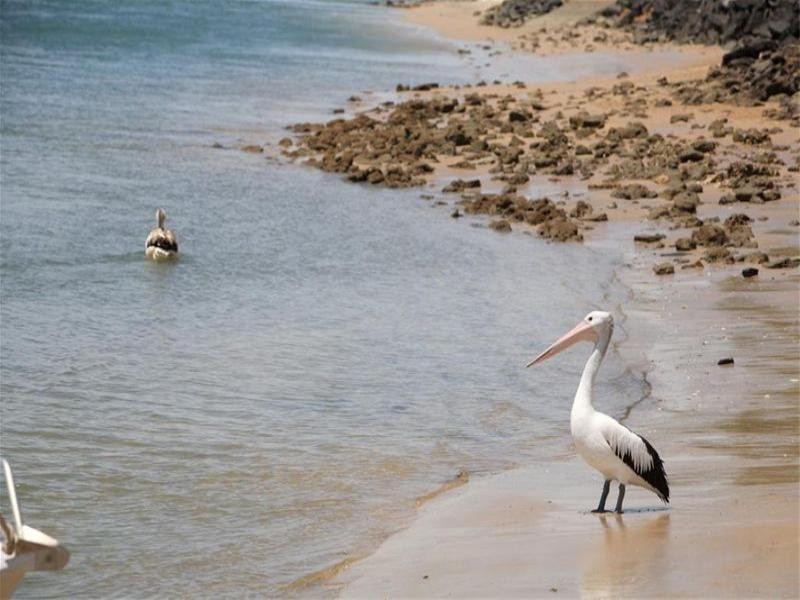 27 Louise Drive, Burrum Heads QLD 4659