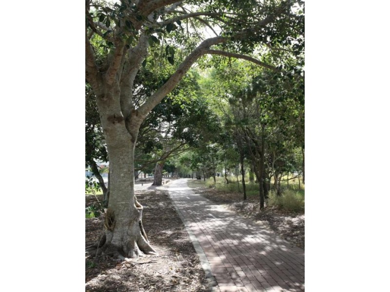 5 Sandalan Way, Urangan QLD 4655