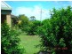 Urangan QLD 4655
