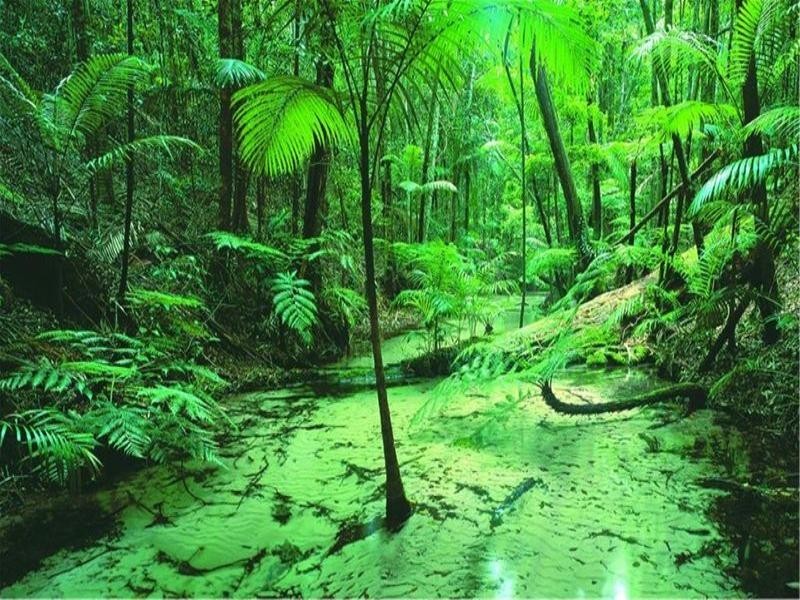 Unit 209 Cooloola Unit, Kingfisher Bay, Fraser Island QLD 4581