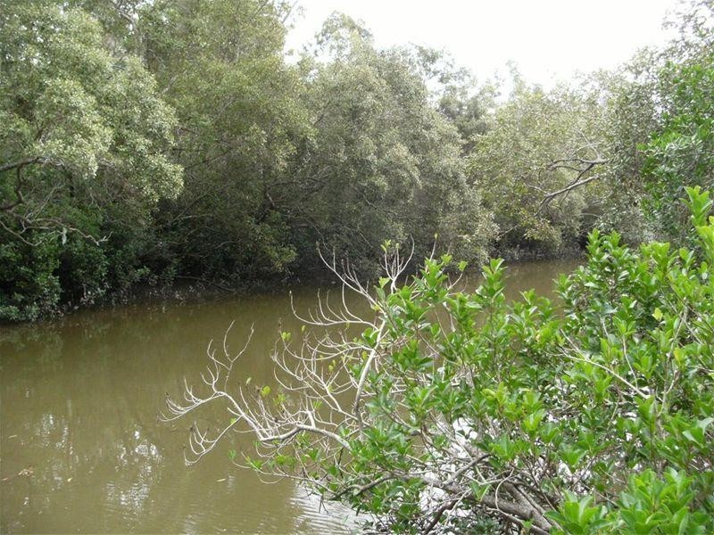 369 Toogoom Road, Beelbi Creek QLD 4659