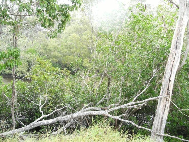 369 Toogoom Road, Beelbi Creek QLD 4659