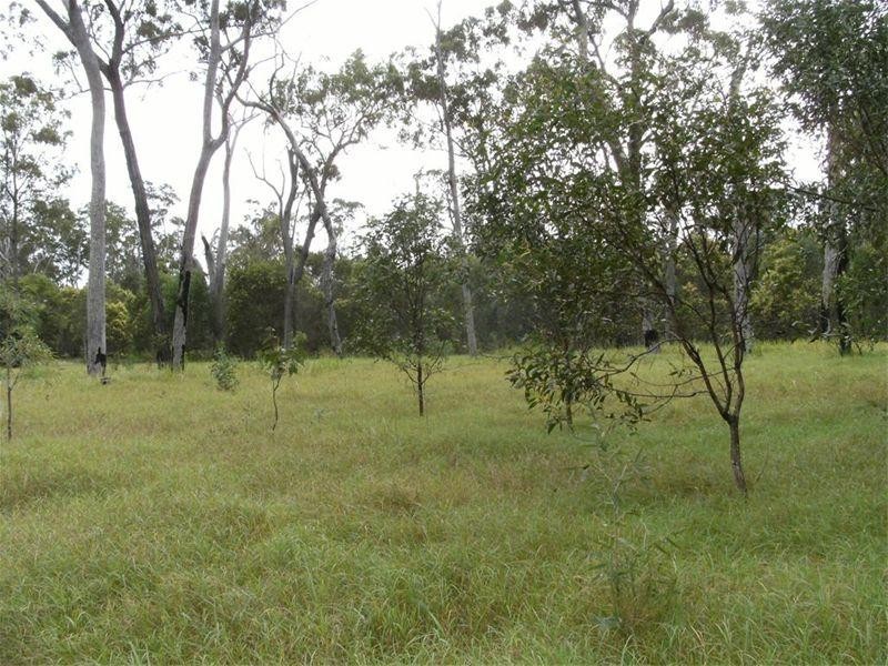 369 Toogoom Road, Beelbi Creek QLD 4659