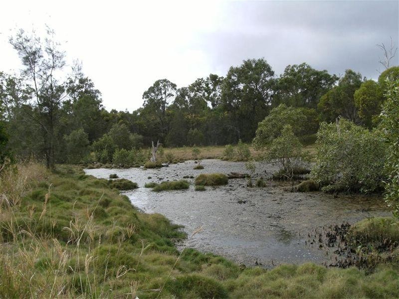 369 Toogoom Road, Beelbi Creek QLD 4659