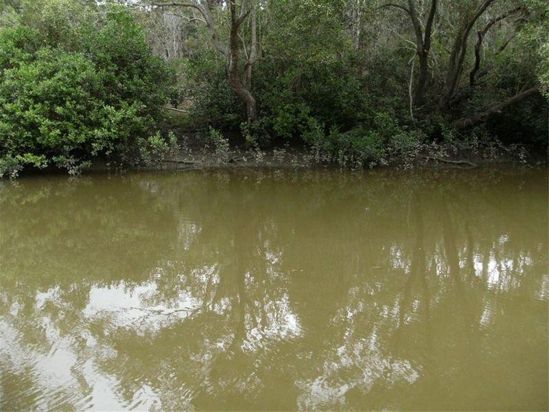 369 Toogoom Road, Beelbi Creek QLD 4659