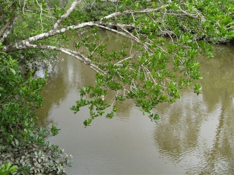 369 Toogoom Road, Beelbi Creek QLD 4659