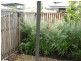 8/654 Charlton Esplanade, Urangan QLD 4655