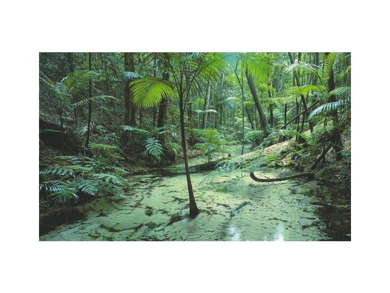 Lot 4 Kingfisher Heights II, Fraser Island QLD 4581