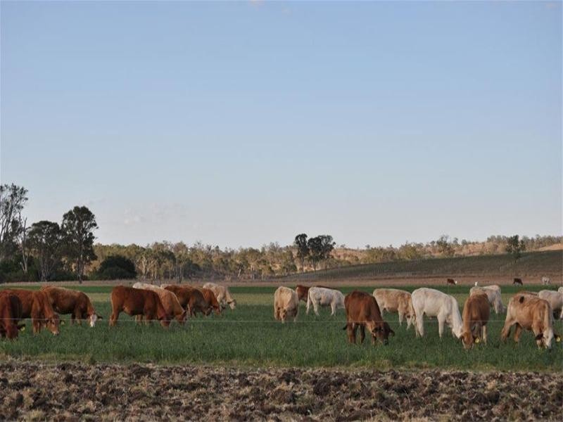 0 Barambah Road, Murgon QLD 4605