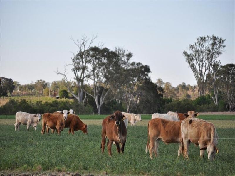 0 Barambah Road, Murgon QLD 4605