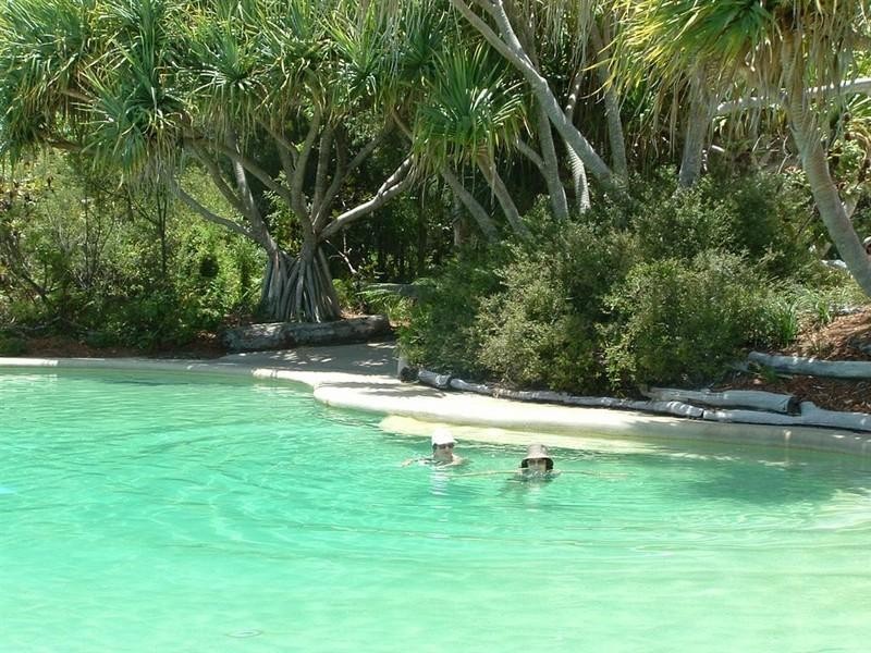 123 Satinay Villa, Kingfisher Bay, Fraser Island QLD 4581