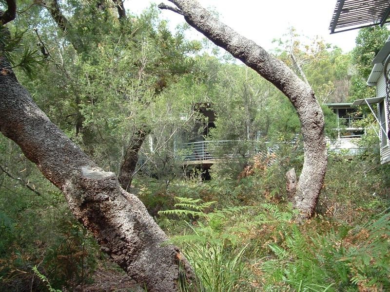 123 Satinay Villa, Kingfisher Bay, Fraser Island QLD 4581