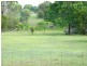 8 Oslove Drive, Booral QLD 4655