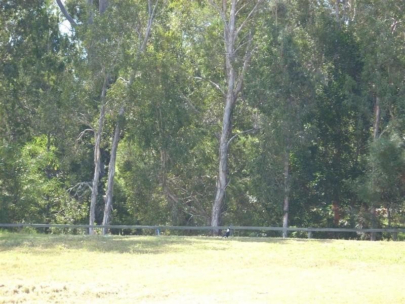 100 Shellcot Street, Toogoom QLD 4655