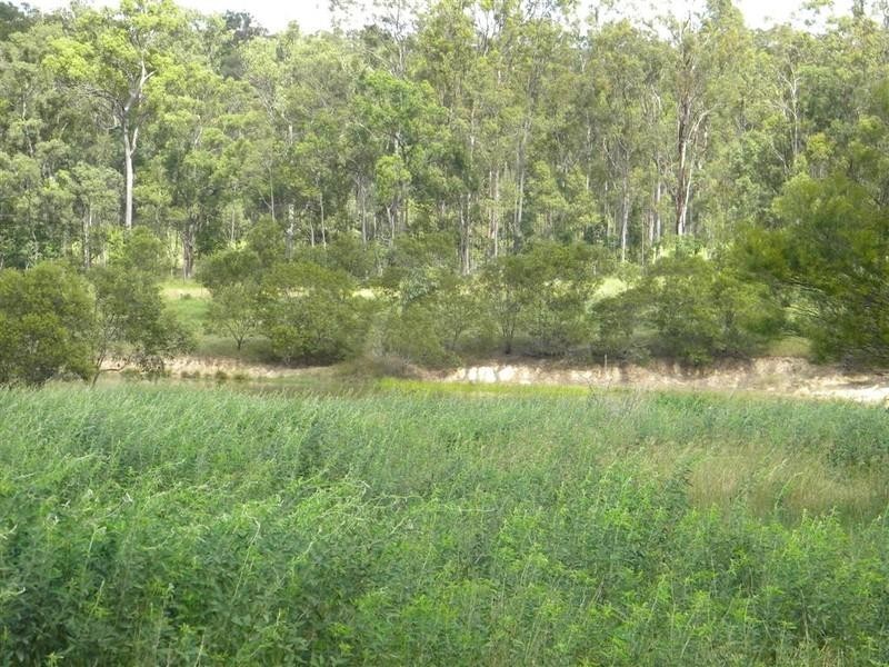 240 Butchers Road, South Isis QLD 4660